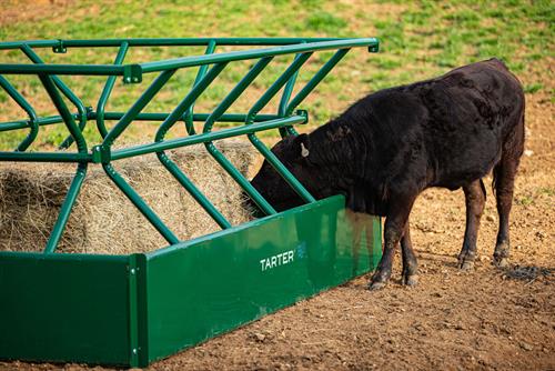 LARGE SQUARE BALE