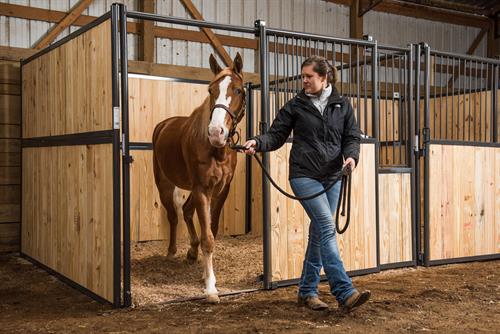 HORSE STALLS