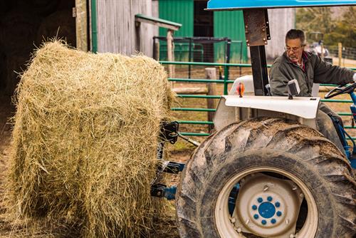 HAY MANAGEMENT