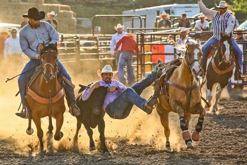 Rodeo & Arena Products