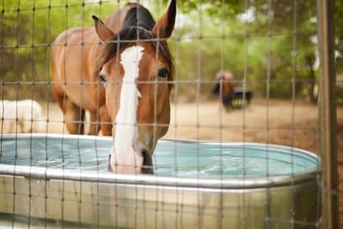 WATER TROUGHS