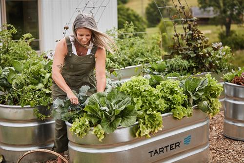 PLANTER TROUGHS